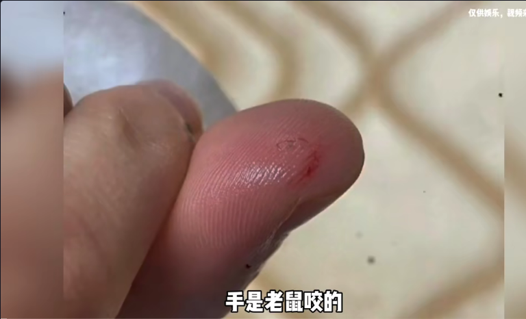 这不,一年轻姑娘的家里出现了一只老鼠,看见了此时不捉更待何时?时至