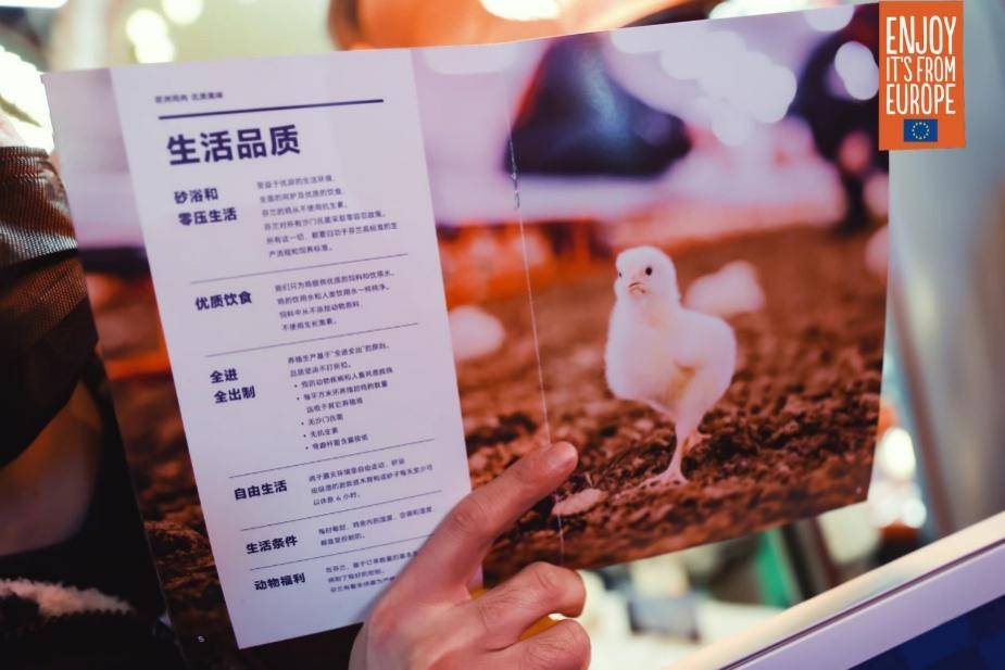 享誉全球的产自芬兰的高品质欧洲鸡肉赢得中国买家瞩目，中国消费者期待品尝极地美味