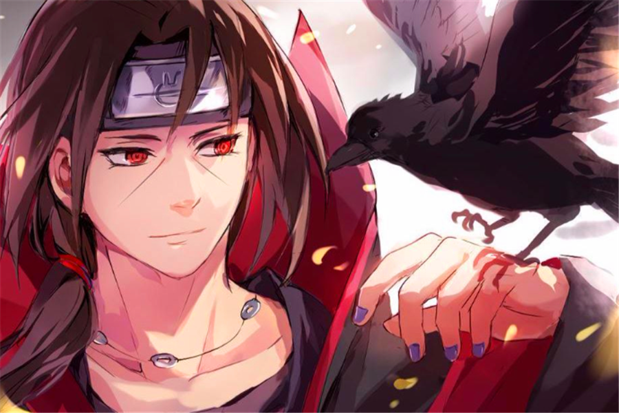 如果给火影中的宇智波族人配个小动物:斑爷配狮子,带土配二哈_乌鸦