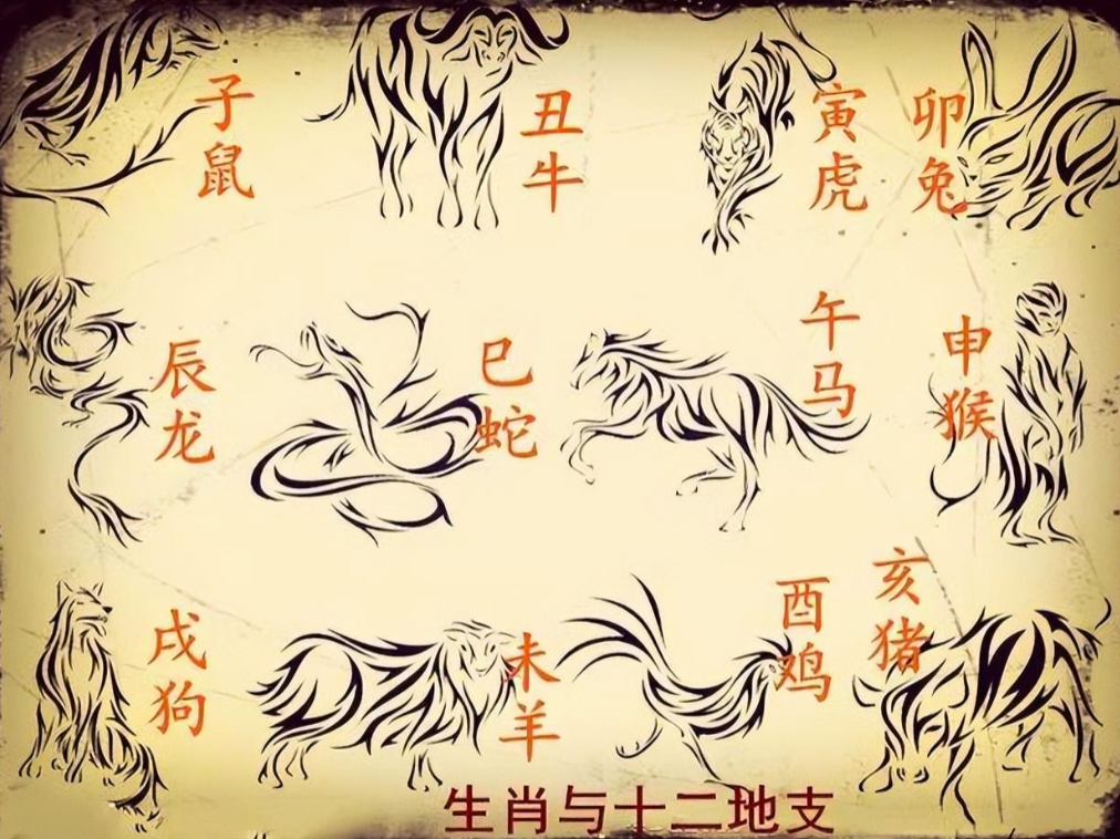 其实这里面暗藏玄机,很多人不知道_文化_十二生肖_生活