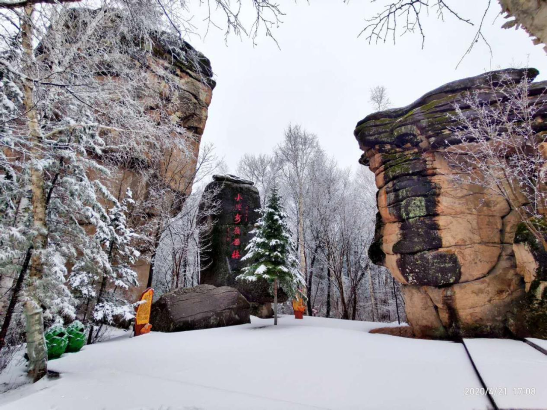 黑龙江2024新春文化旅游活动来了_冰雪_哈尔滨_线路
