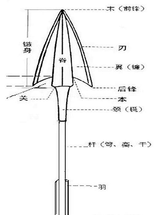 梅花袖箭结构图图片