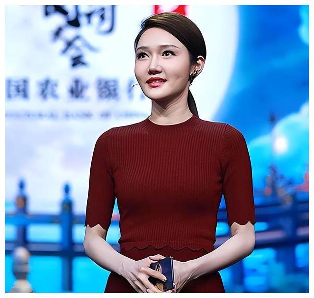 央视主播龙洋:湖南出身的著名主持人,男友迷失雾中,逐渐消失_爱情