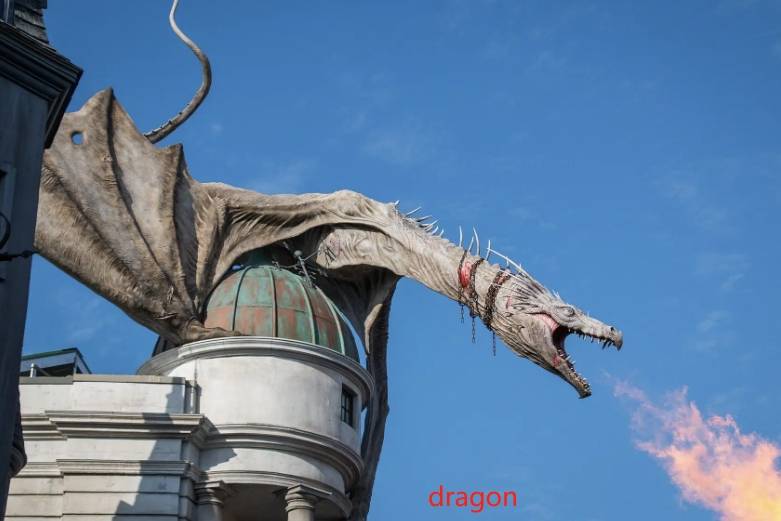 loong dragon图片