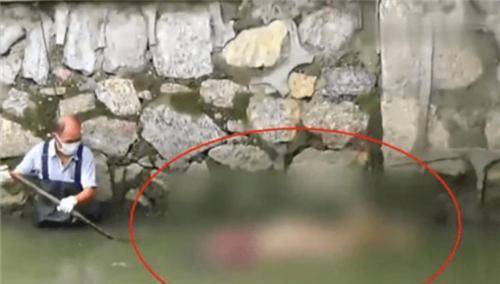 15年江苏女子见网友被下药侵犯,睡醒后说的一句话,竟