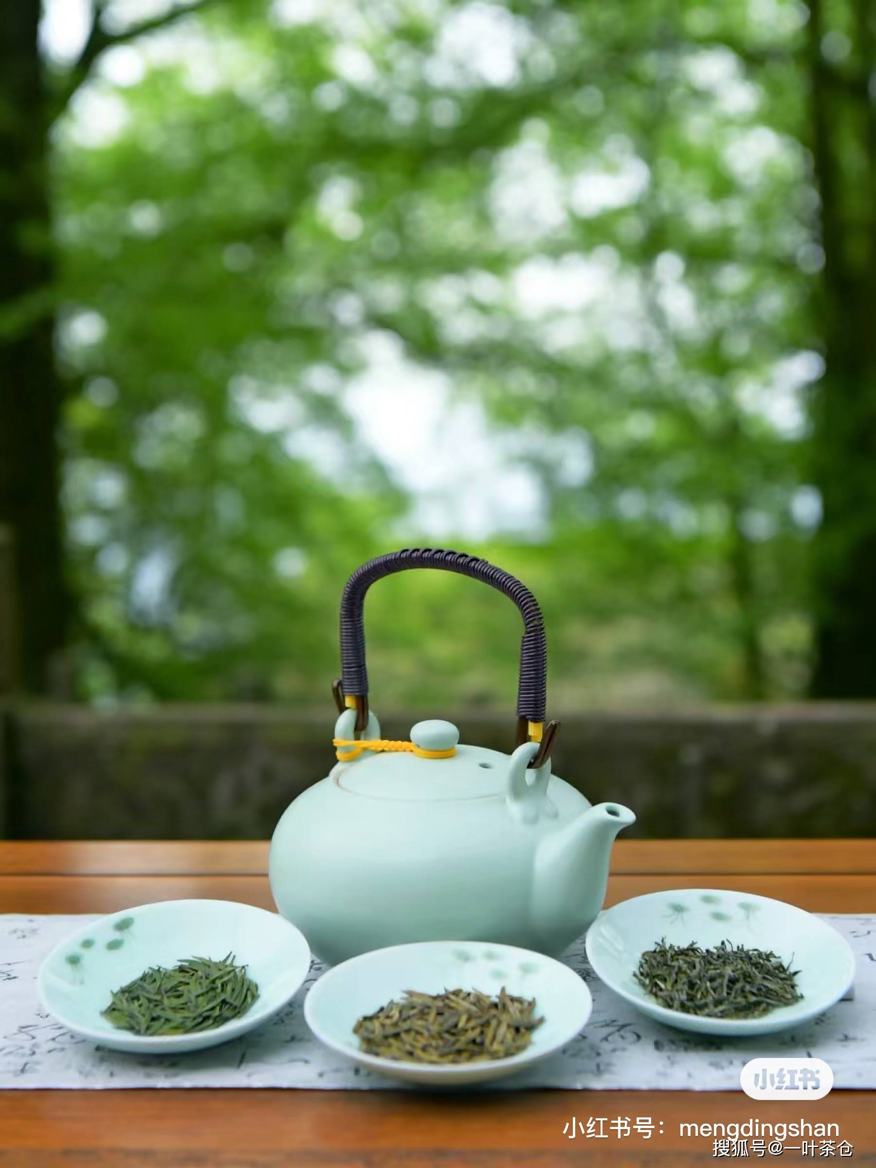 茶识|蒙顶山茶不仅是名茶,更是"奇茶",爱茶的你一定要知道_茶叶_养生