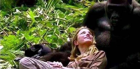 科学家惨绝人寰的实验,欲让女人怀上黑猩猩的孩子,过程残忍至极