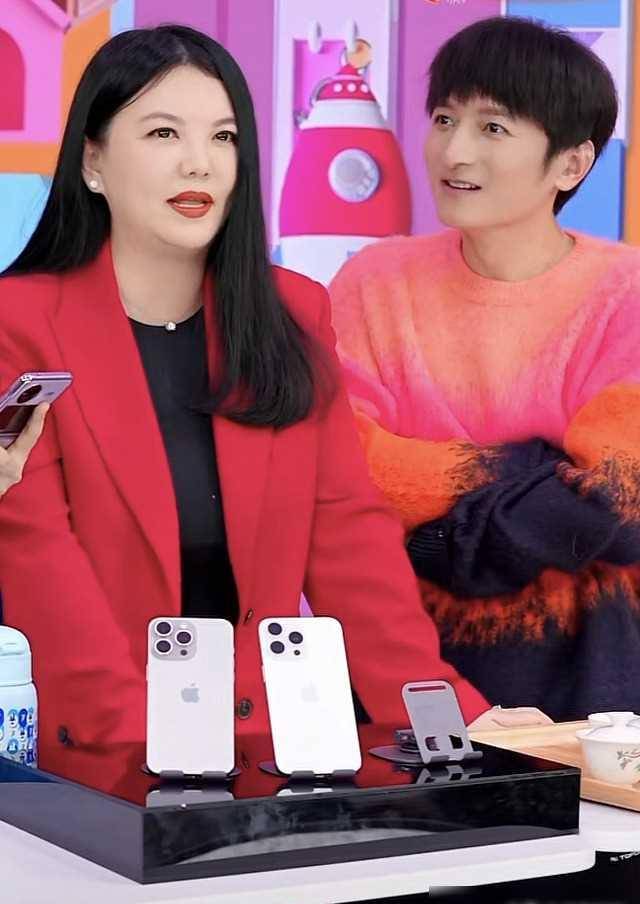 李湘返工引热议!