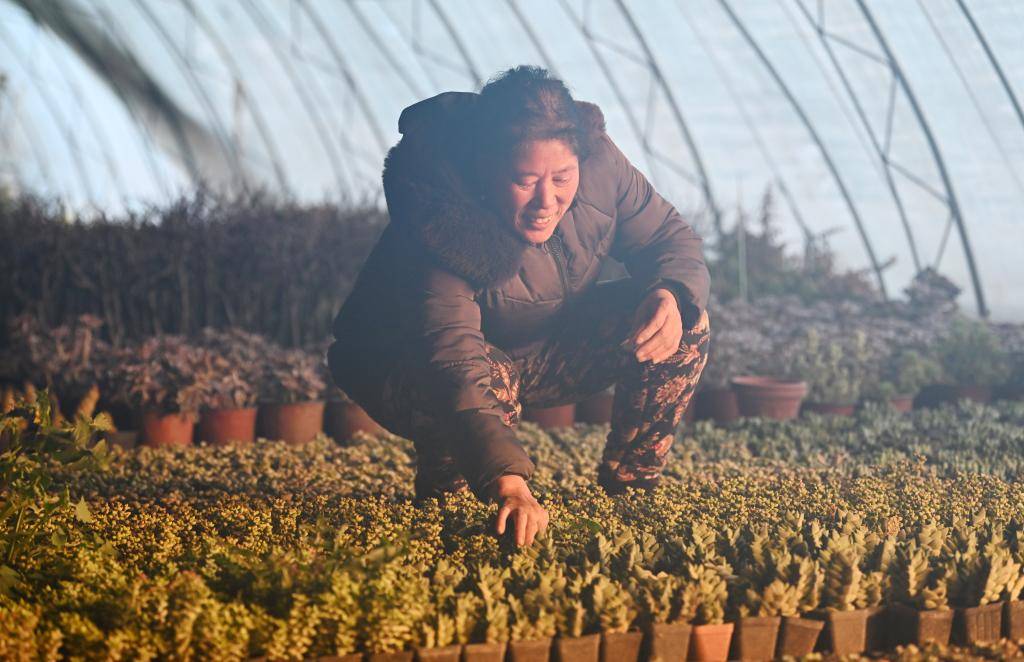 新春走基层·家乡美丨中河头村"绘新景"_程相博_建设