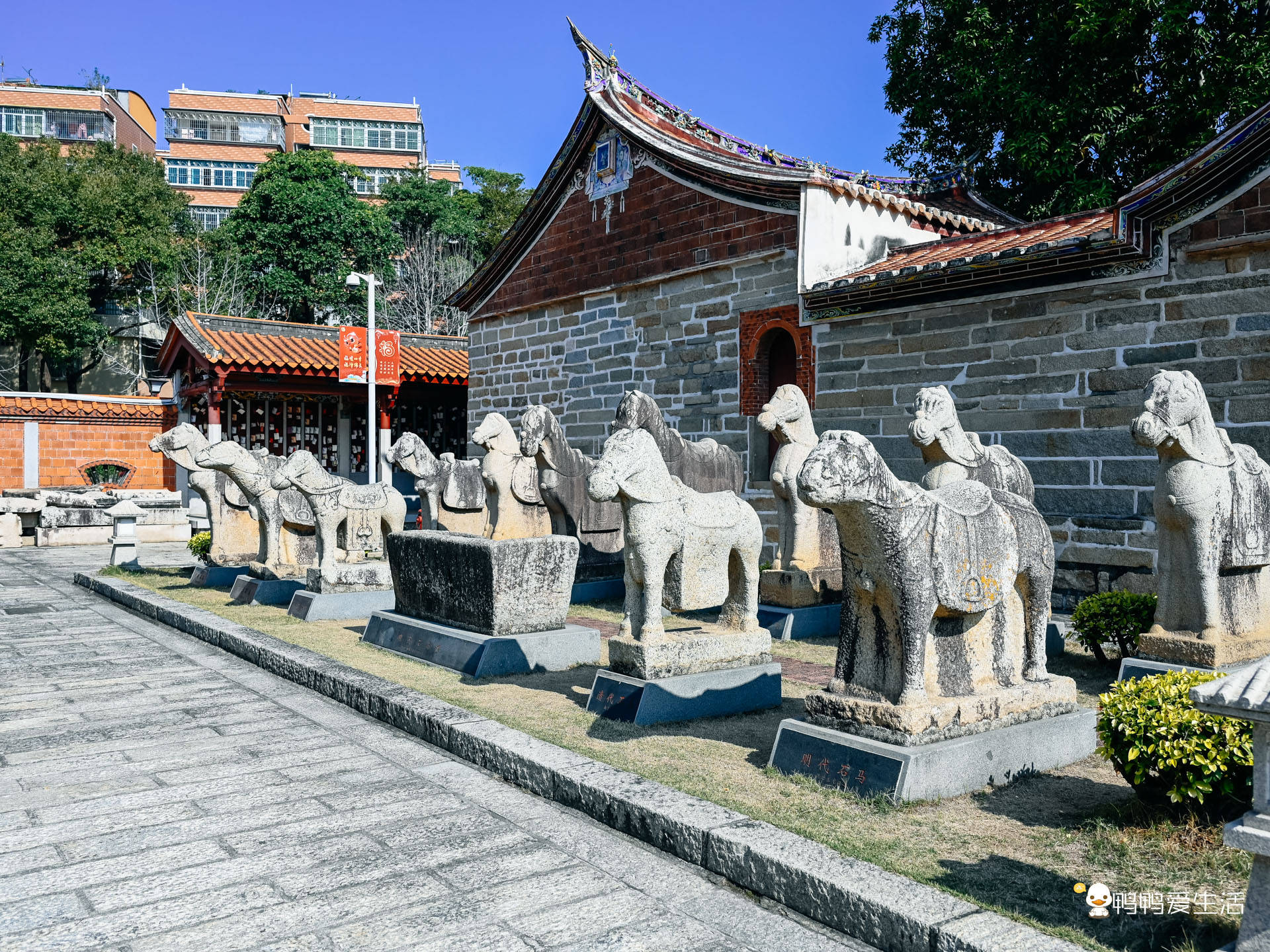 春节小众旅行之同安孔庙:在繁华中静守古城文脉,聆听世间万千!