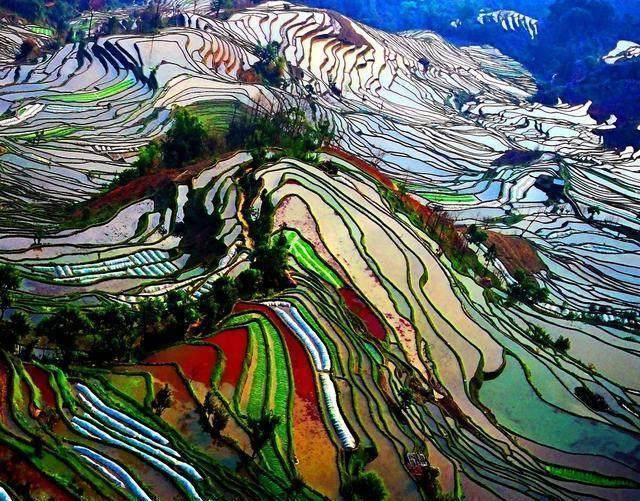 有中国最壮丽的田园风光,是最值得去的20个地方之一_哈尼_梯田_元阳县