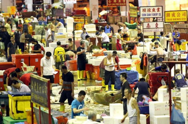 凌晨参观鱼批发市场_渔港_顾客_巴士