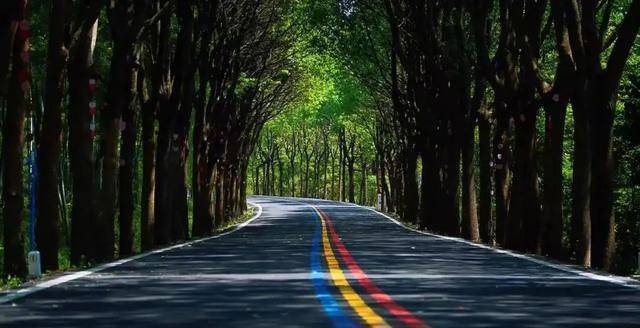 江苏溧阳1号公路,曾被我吐槽过很一般,这次真的让我惊艳到了!