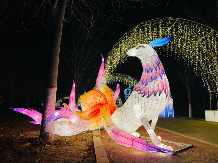 焦作市森林动物园已连续成功举办3届新春灯会,它成为焦作人民以及返乡