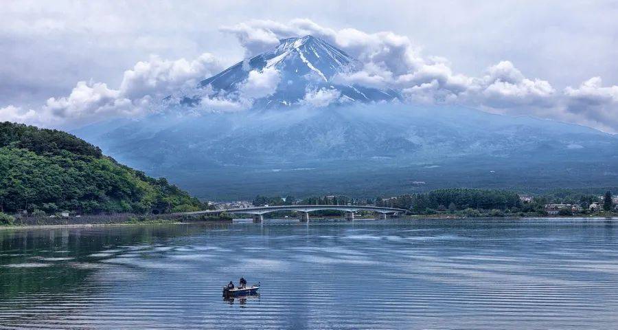 2024年家电业突破口：​家电厂商的长期主义和实用主义打通-家电圈官网