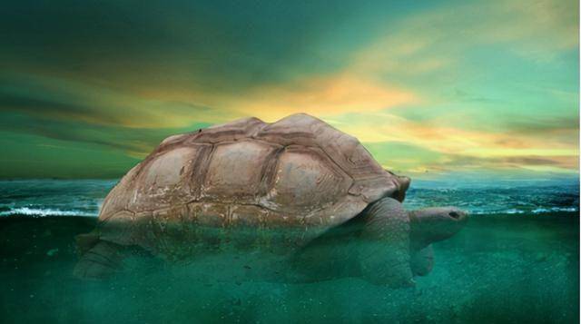 1965年,黄河曾捞出一只"巨龟",网传有3层楼高,真相如何?