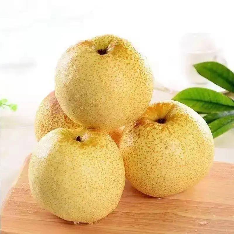 秋日梨界探秘:四种美味梨品种引领新潮流_https_html