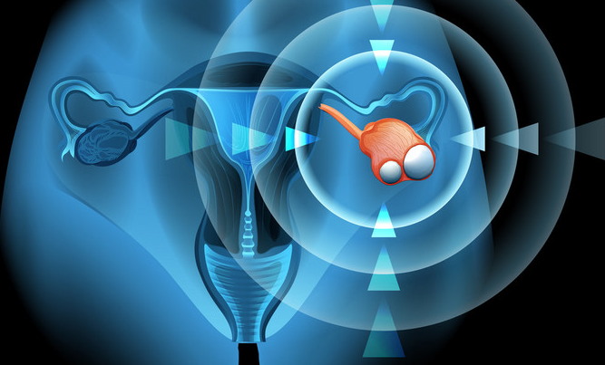 2025年最新正规借卵机构有哪些推荐(今日分享借卵的成功率有多少)