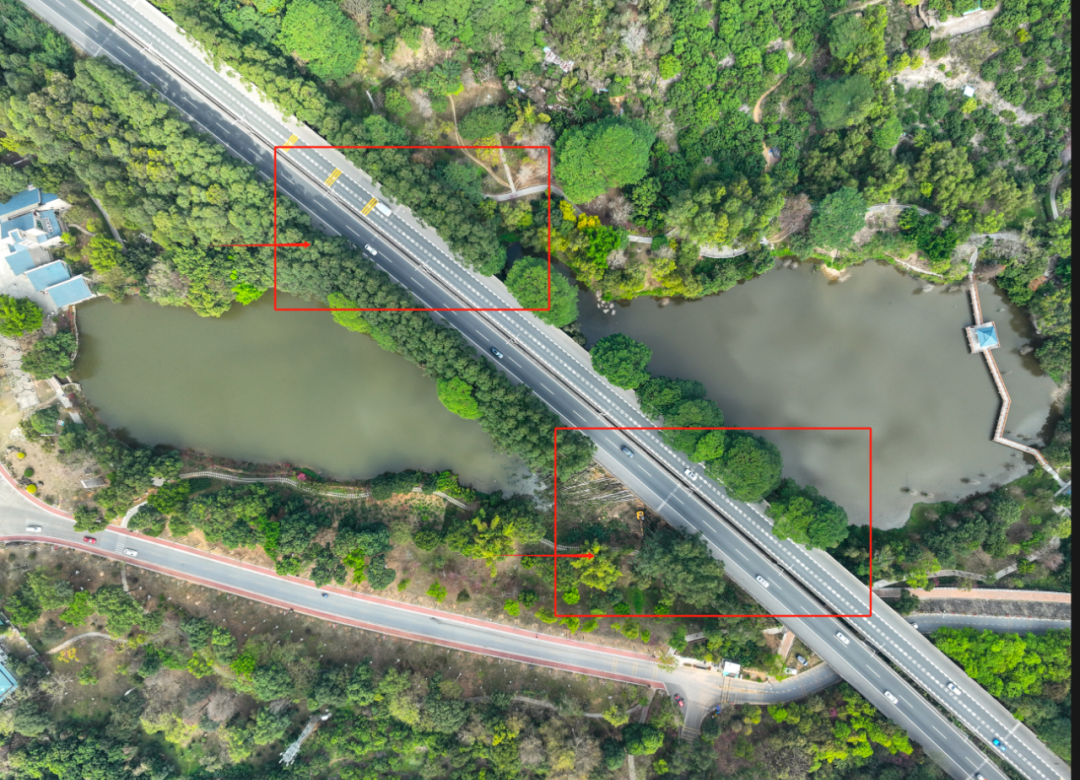 经常来这里的虎门街坊注意啦_常虎_大岭山_广场