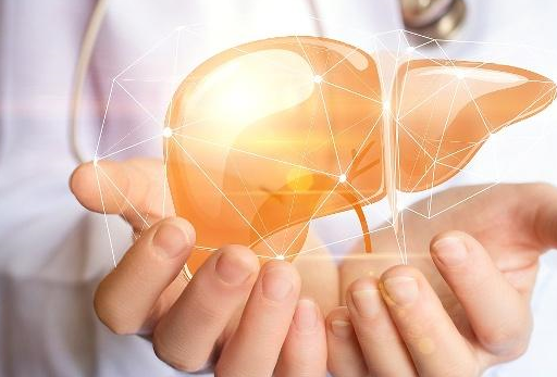 患者_生姜_肝脏