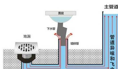 家里地漏容易堵又返臭