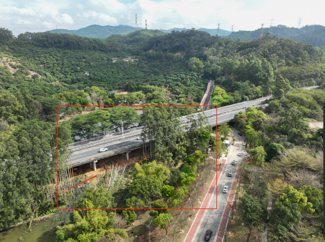 经常来这里的虎门街坊注意啦_常虎_大岭山_广场