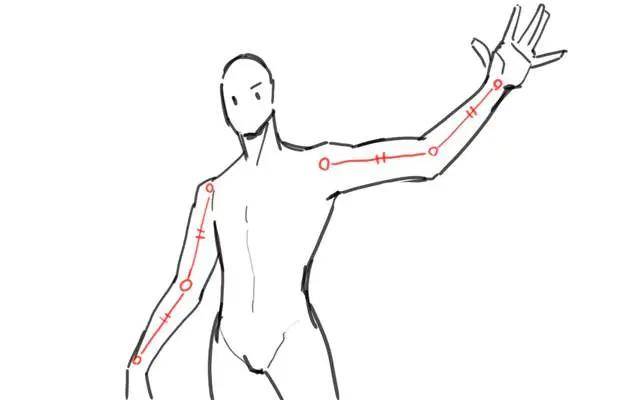 妙笔成画教育:教你人物手臂姿势的画法教程!_肌肉_肘部_男性