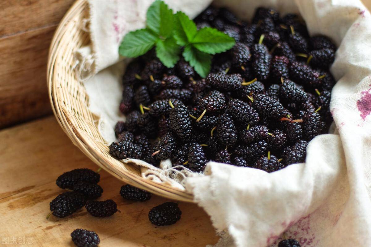 桑葚酸甜可口,有益健康,但食用中有4点禁忌,需要注意_jdzx_iwh_http