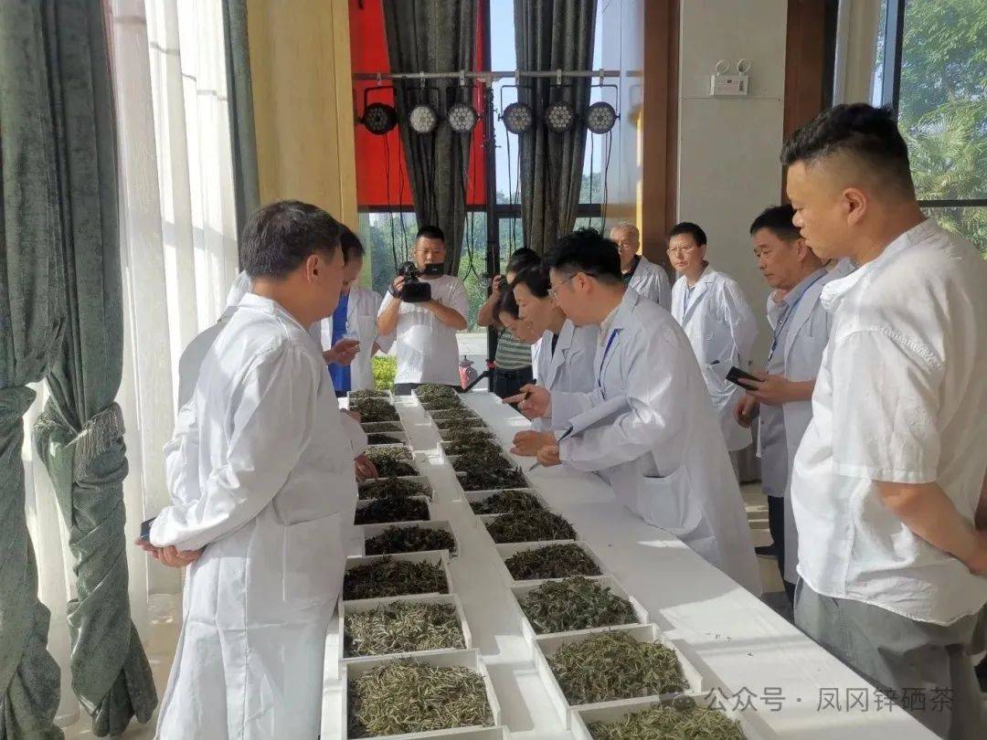 2023年凤冈县茶业十大事件_贵州_大赛_发展中心