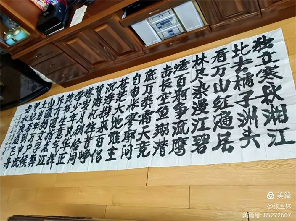 领异标新二月花 ----孔令义将军新行楷体书法_文化_传统_创作