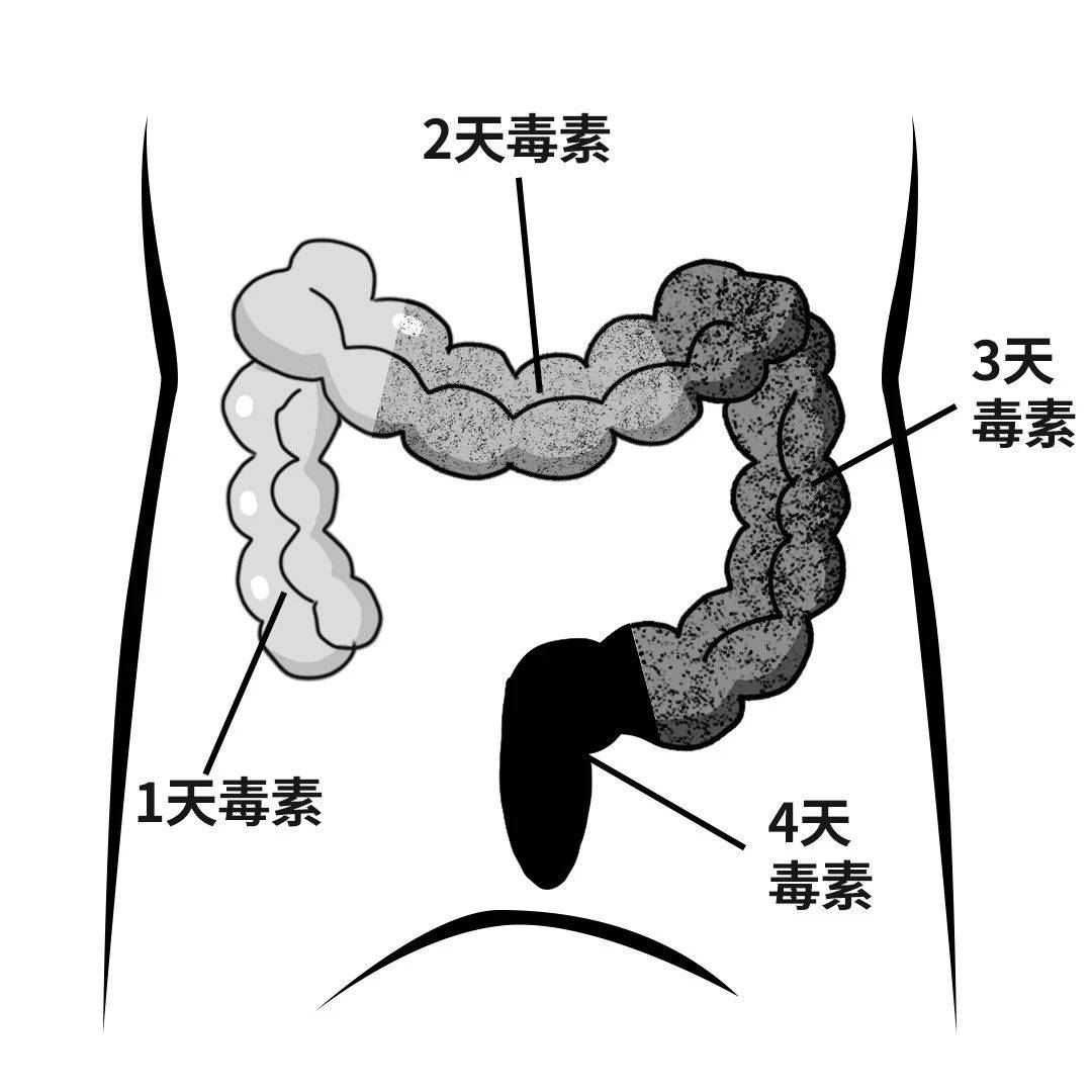 一直便秘严重怎么办?强大的肠胃也是一种资产