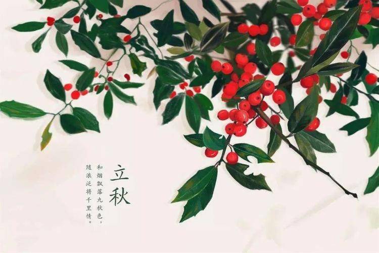 二十四节气的词_麦子_往事_光阴