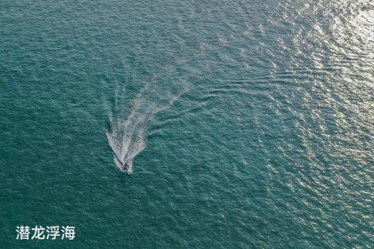 题图《潜龙浮海》轻舟冲浪沐早霞,恰似潜龙串万家.