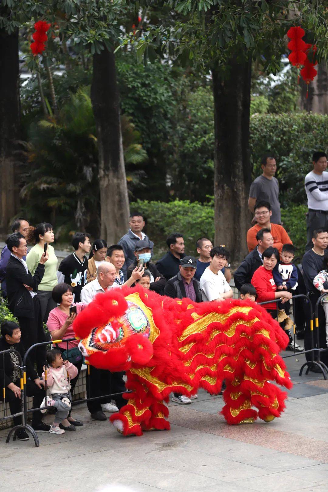 东莞大岭山镇百花洞醒狮迎新,"百千万工程"焕发新春活力_表演_文化