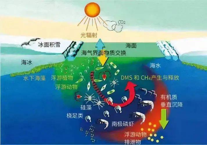 二氧化碳_能力_全球