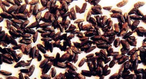 河姆渡考古发现神奇金黄色颗粒,却瞬间被氧化,揭开超前技术文明