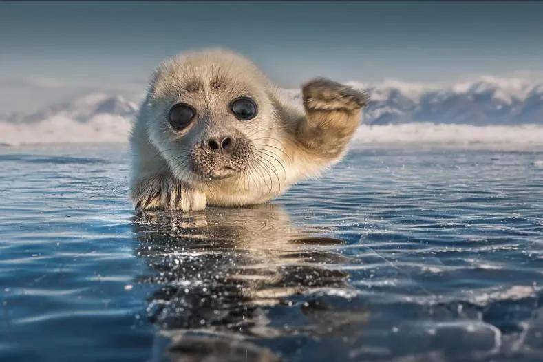 湖泊_影响_人类