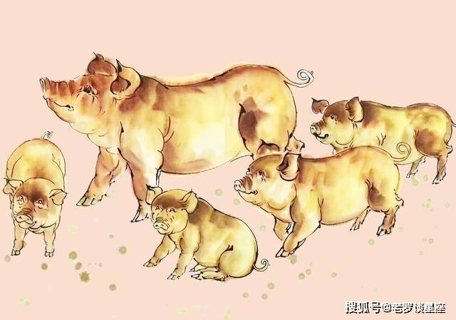 对于属猪的人来说,幸运的是,在2月底,吉人加持,吉星降临,机会来临时