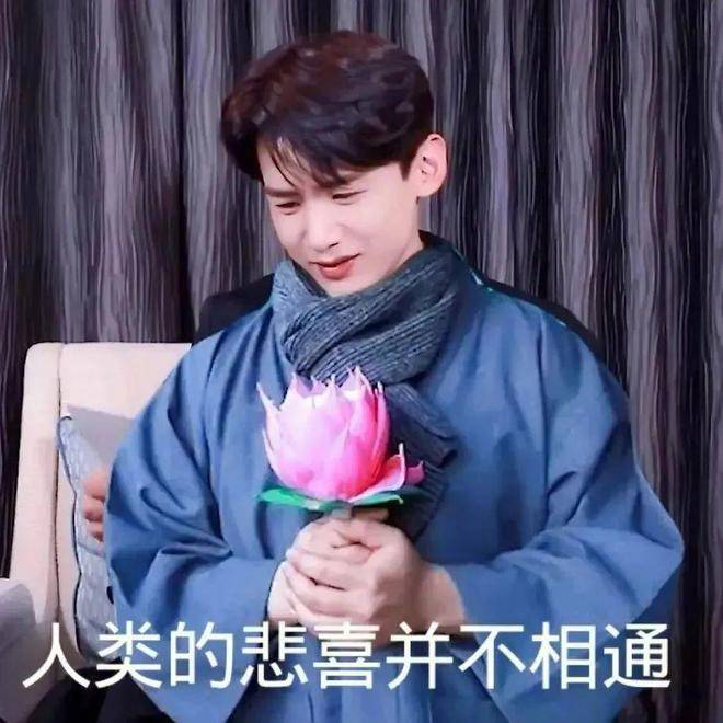 白敬亭_春晚_乔欣