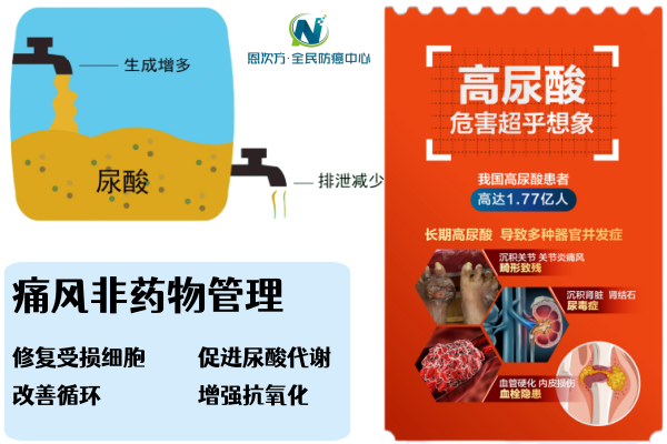 尿酸800多怎么降下来?_代谢_药物_水平