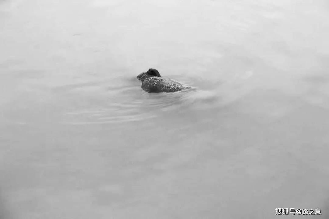 渣男玩弄感情还害命,1987年义乌市"6·28"水塘女尸案侦破始末_季颂华