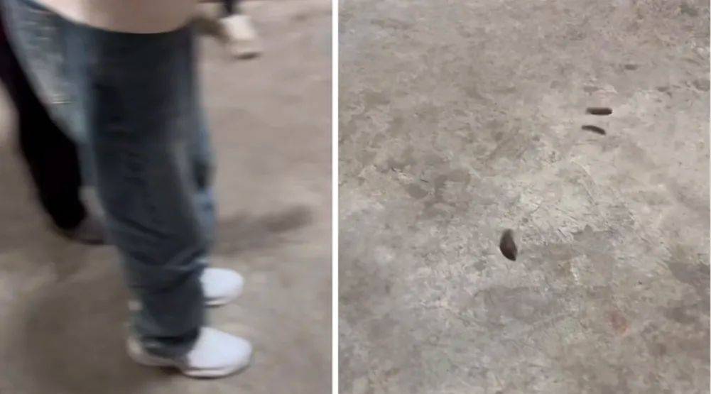 福建游神:cos赵世子网红新道歉视频露马脚,网友评论炸锅_小朱_马夫那