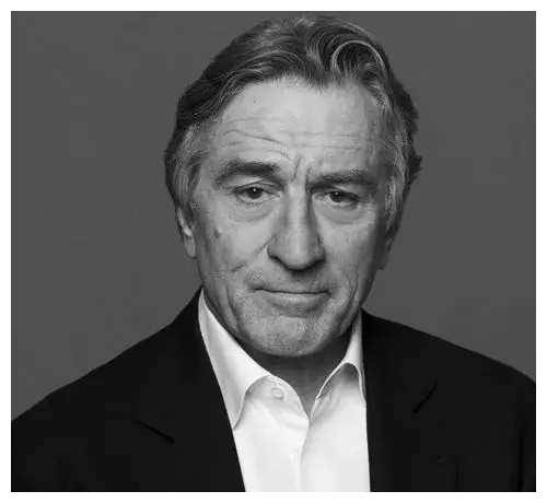 全球十大顶尖男演员,谁是最具实力演技派?_生活_银幕_一面