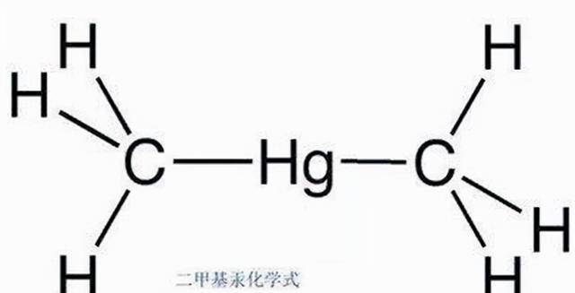 1996年,两滴液体滴在她的手套上,送进医院3周后不治身亡_凯伦·维特