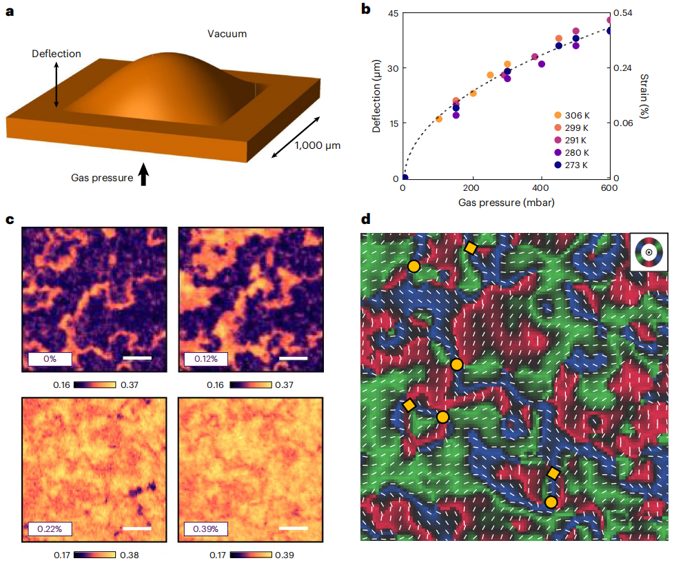 mater.》:纳米膜_应变_拓扑_研究