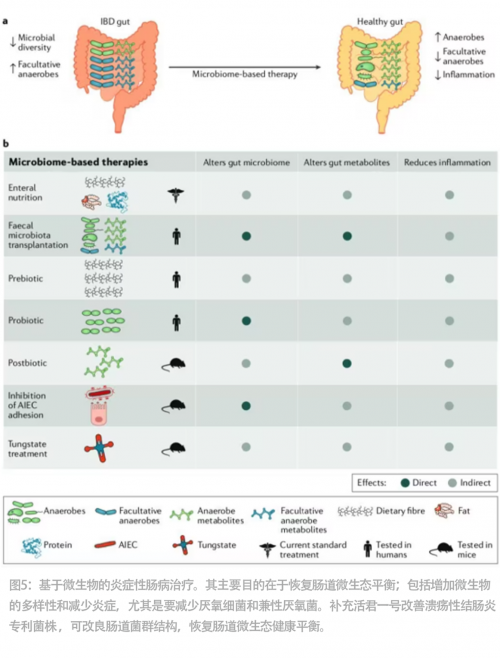 肠道菌群"五驾马车"在溃疡性结肠炎,克罗恩康复中