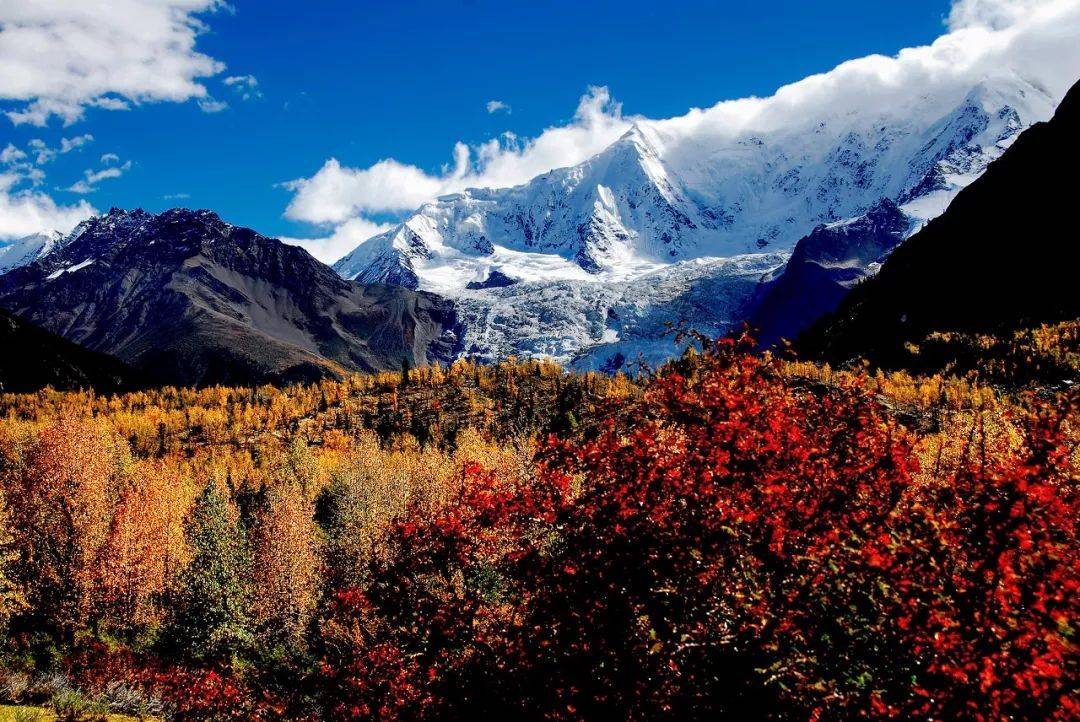 拉萨当地参团费用多少?旅游拉萨团价格_day_罗桑_林芝