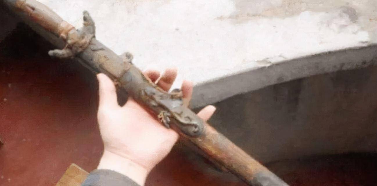 2010年,重庆老农捡到一把宝剑,专家建议其上交,他却打磨成菜刀_易守祥