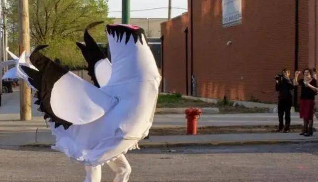 不可复制的"无头鸡":全国巡演月赚4500美元,18个月后死于意外_麦克_罗