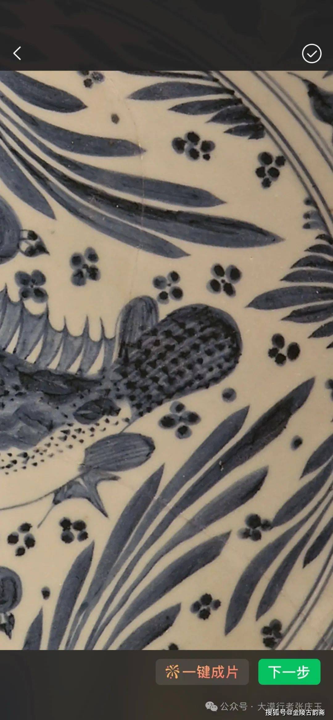 鉴赏元青花纹饰正面_文章_斑点_自然